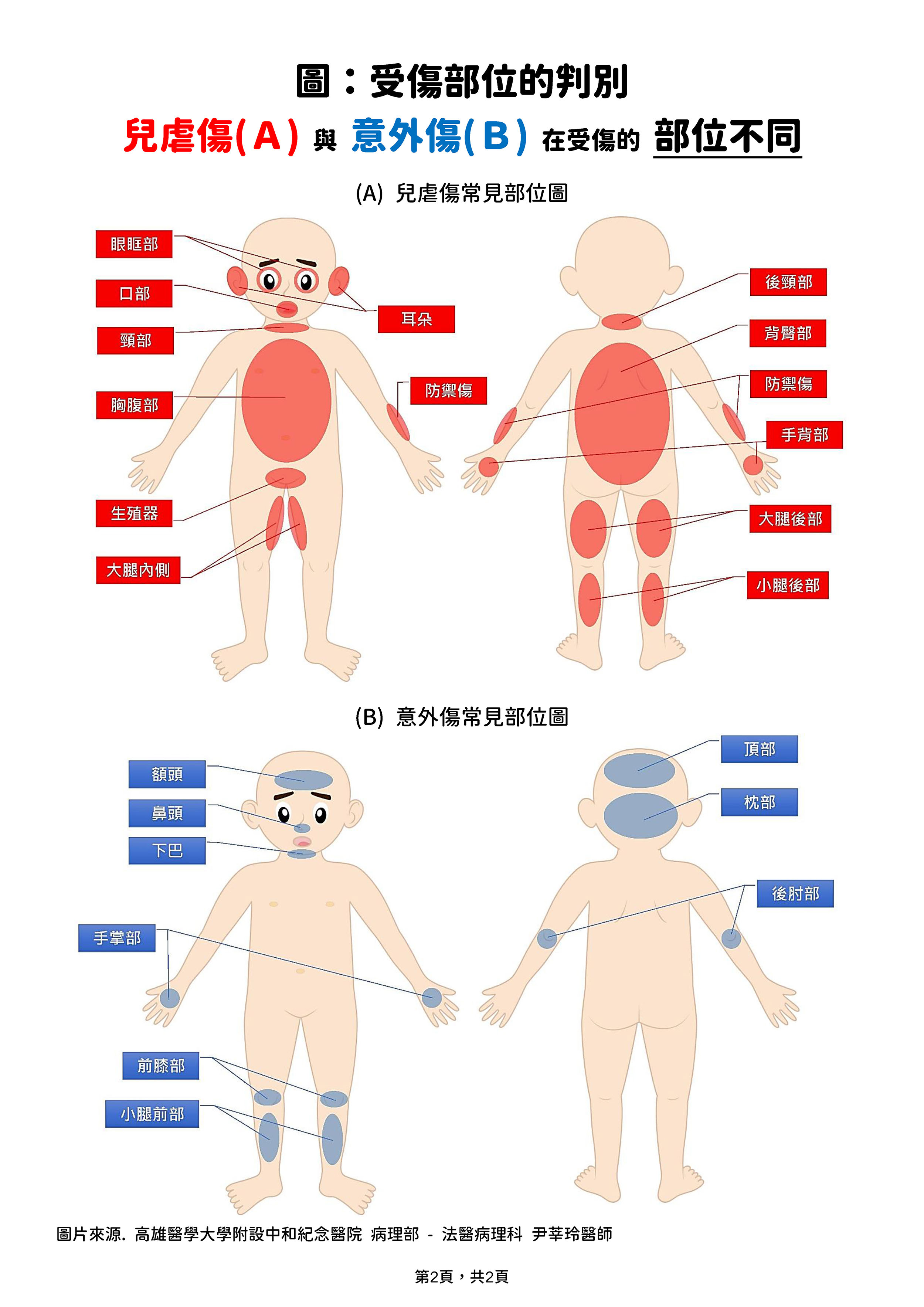 兒童保護案件牙科處理流程第2頁